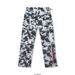 ASSC x Minecraft Pixel Camo Cargo Pant back
