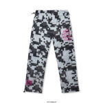 ASSC x Minecraft Pixel Camo Cargo Pant front
