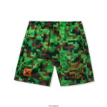ASSC x Minecraft Pixel Camo Mesh Basketball Shorts Back front